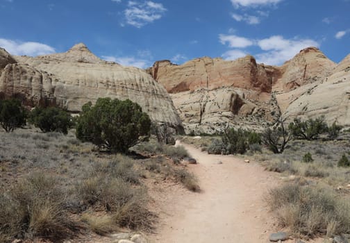 Hickman Trail in Capitol Reef National Park. Utah. USA