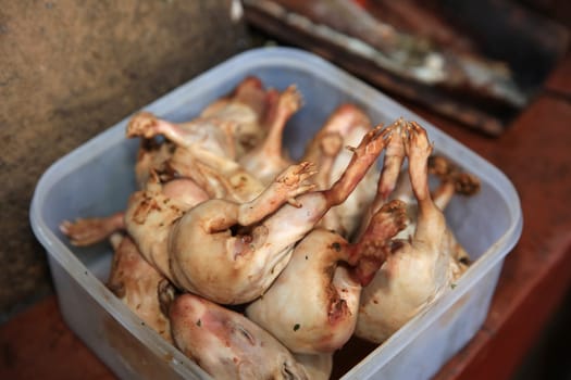 Guinea Pig roasted - traditional Meal in Peru. South America