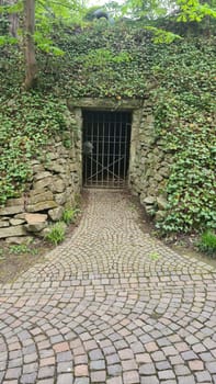 Tunnel entrance to an old mine