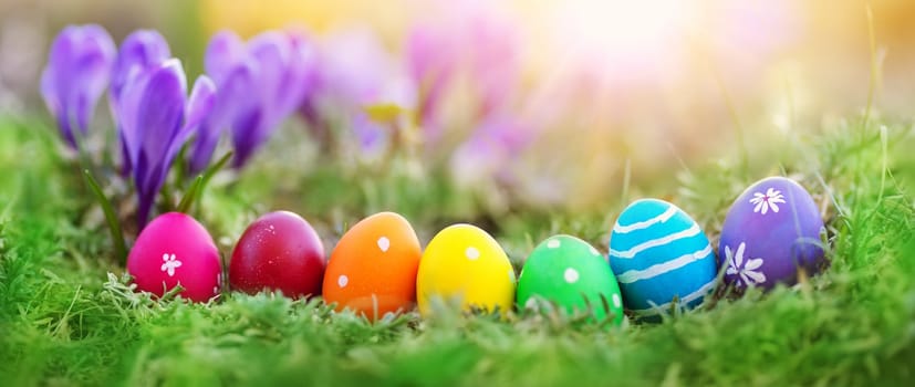 Easter eggs on the meadow with fresh green grass. Concept of the Easter celebration.