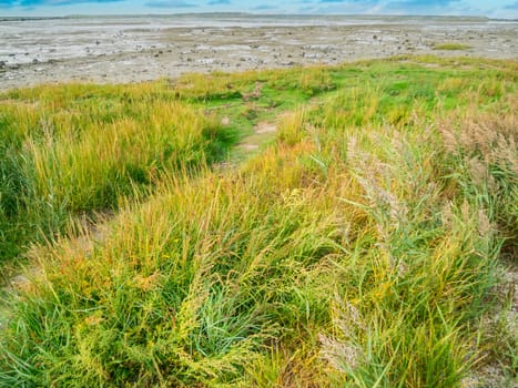 Landscape view with a view over the salt marshes on the North German Wadden Sea at low tide under an overcast sky.