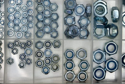 nuts in different sizes in a box