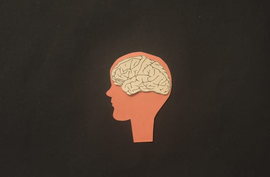 Paper Human brain in a silhouette head illustration. Thinking idea and creative mind.