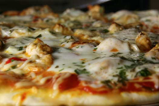 The closeup of delicious-looking cheesy pizza
