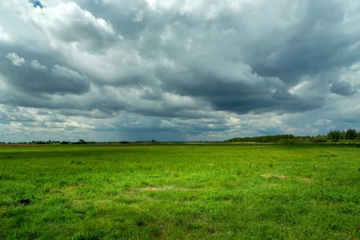 Cloud with rain on the horizon and green meadow, summer view