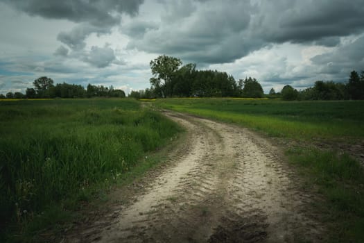 Dirt road through fields and dark clouds, spring day