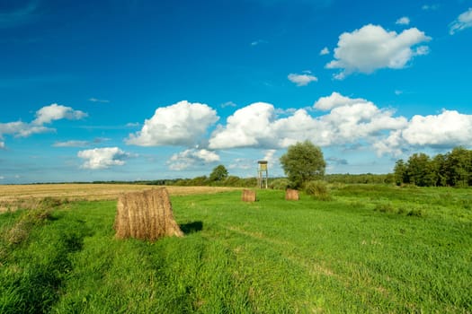 Hay in the meadow and clouds on the sky, Zarzecze, Lubelskie, Poland