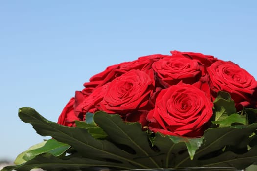 Bunch of red Roses