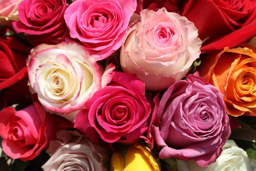 Bunch of Roses