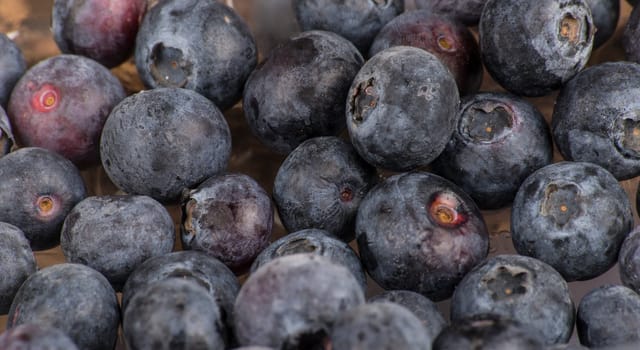 blueberries in closeup - on wood