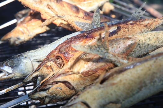 Fresh Mackerel on Stick at Barbecue Party. Germany