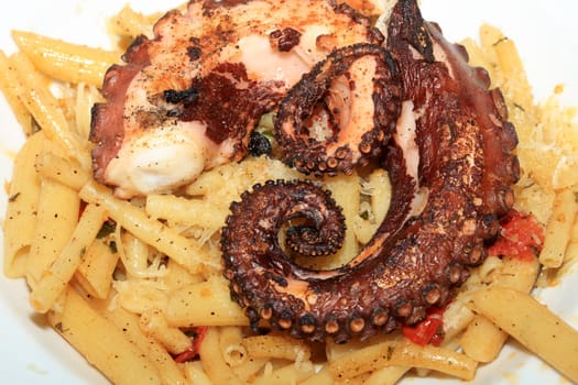 Italian Pasta with boiled Octopus on a Plate