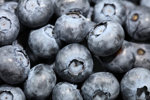 Fresh organic Blueberries