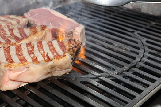 Fresh Meat on Barbecue Grill in Germany