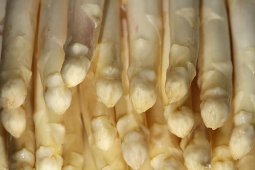 Asparagus