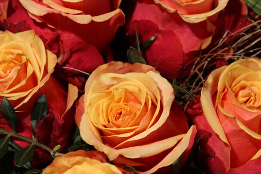 Bouquet of wonderful Roses