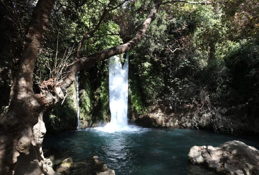 Waterfall at the Banyas Nature Reserve in the upper Galilee. Israel