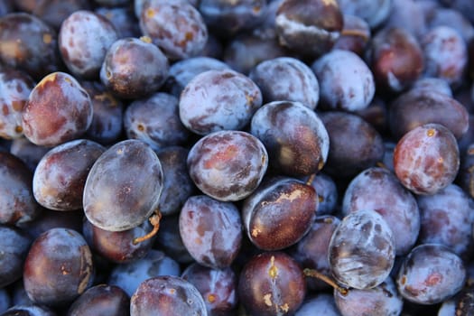 Fresh organic Plums