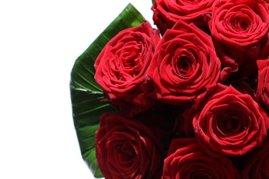Bouquet of wonderful red Roses