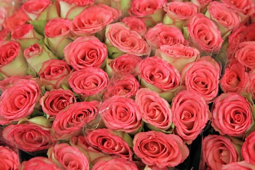 Bouquet of wonderful Roses