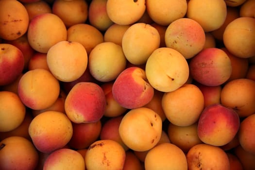 Fresh organic Apricots
