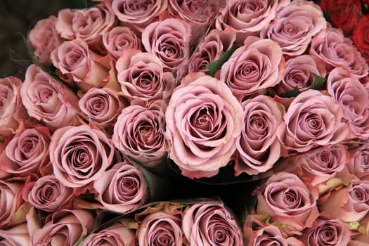 Bouquet of wonderful Roses