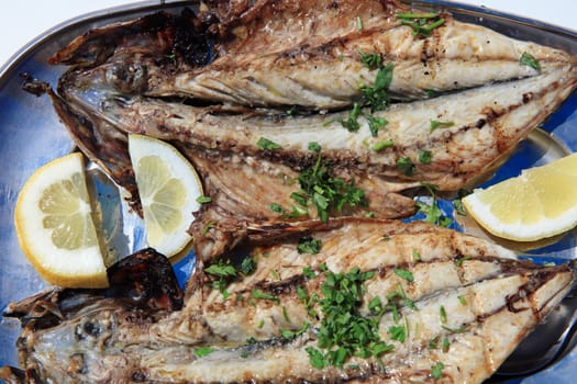 Fresh grilled Mackerel with Lemon and Herb. Portugal