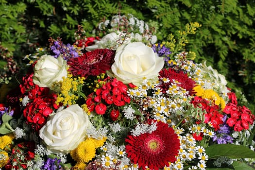 Summer Flowers