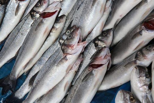 Fish Market in Istanbul. Turkey