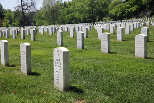 Rows of Tombstones at Arlington National Cemetery. Virginia. USA
