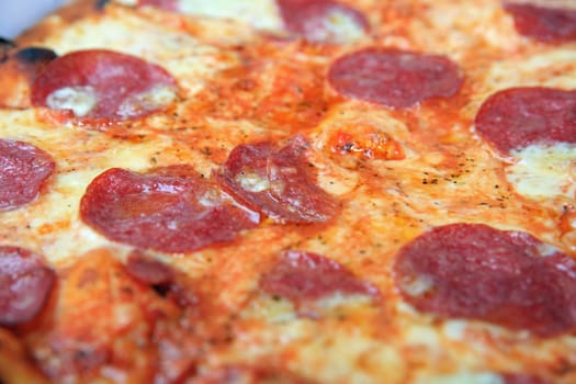 Fresh italian Pizza with Salami, Tomato and Cheese