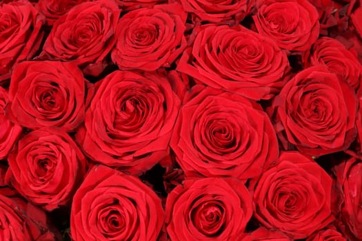 Bouquet of wonderful red Roses
