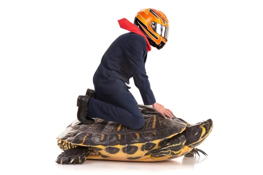 Businessman with helmet, riding a turtle isolated in a white background