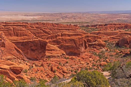 Red Rock Fins in a Desert Canyon in Arches National Park in Utah