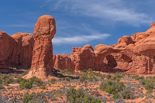 Arches and Pinnacles in the Desert in the Windows Section of Arches National Park in Utah