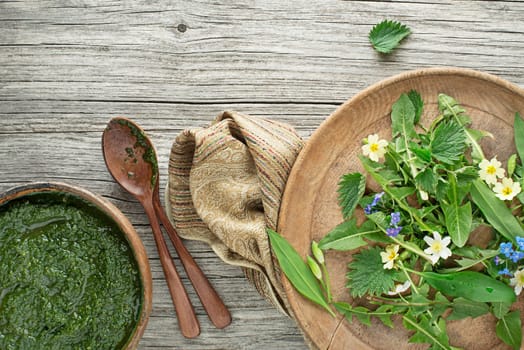 Healthy green soup with fresh spring plants