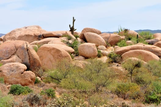 Large boulders and saguaro cactus in the Sonora desert in central Arizona USA
