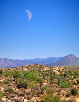 Desert moon over the southwestern USA desert and mountains