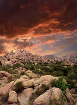 Sunset Texas Canyon in the Sonora desert in central Arizona USA