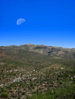 Desert moon over the southwestern USA desert and mountains