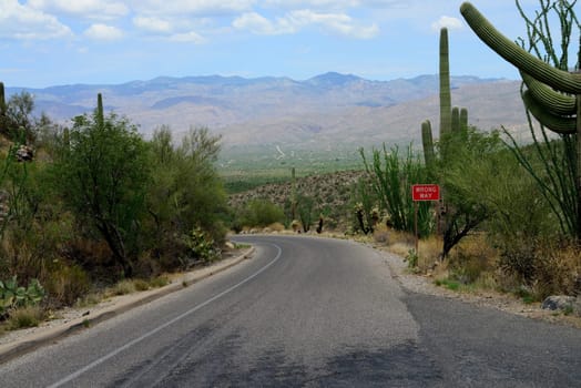 Wrong way road sonora desert mountains Arizona