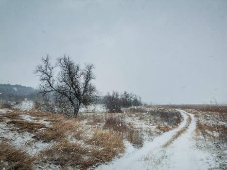Cold winter weather with fluffy snowflakes falling on a country road among a dry nature field. Tranquil environment with heavy snow and blizzard..