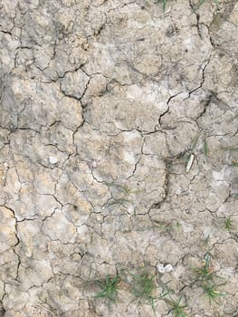 Crack soil on dry season, Global warming effect.