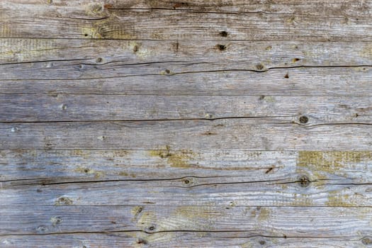 Old grunge wood with peeling paint. Vintage texture.