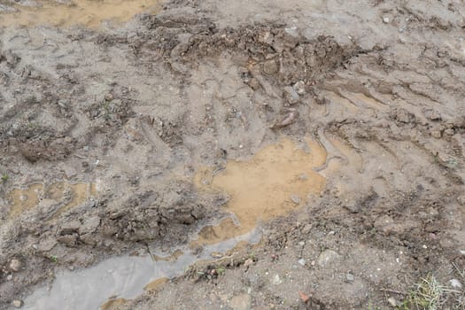 Puddle and mud with tire track texture.