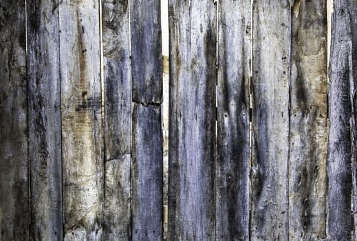 Detail of wall lined with wooden boards, decoration
