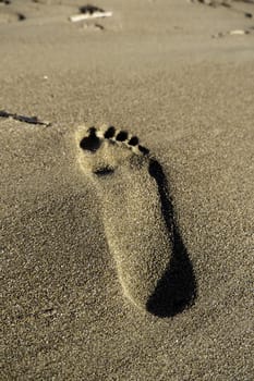 Detail of footprints on a beach in summer, walk on vacation