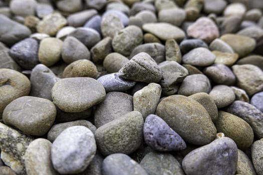 Pebble stones in natural park, geology and detail