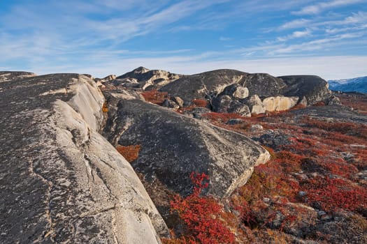 Bare Rock and Fall Colors in the Arctic Near Eqip Sermia in Greenland