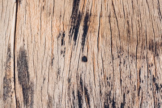 Old wood board, copy space wooden texture pattern background